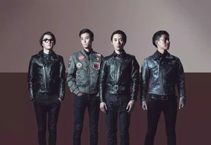 《中国好声音2020》赛制解析与精彩回顾-音乐选秀节目的魅力展现-第3张图片-佛山资讯网 《中国好声音2020》赛制解析与精彩回顾-音乐选秀节目的魅力展现-第3张图片-佛山资讯网