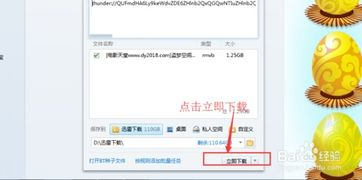 迅雷免费影视下载攻略-高效获取高质量资源的方法-第4张图片-佛山资讯网