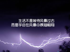 欲动的心,如何正确把握与转化-心态解析与实践指南-第1张图片-佛山资讯网 欲动的心,如何正确把握与转化-心态解析与实践指南-第1张图片-佛山资讯网