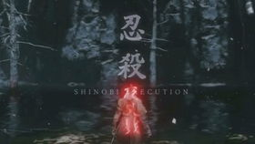 揭秘鬼诱攻击，网络安全防范之道-第2张图片-佛山资讯网