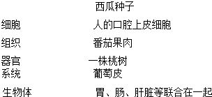 亲密爱人关系维护,深度解析与和谐相处之道-第4张图片-佛山资讯网 亲密爱人关系维护,深度解析与和谐相处之道-第4张图片-佛山资讯网