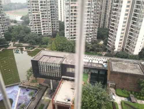房产销售的秘密,高效成交技巧解析-市场策略揭秘-第2张图片-佛山资讯网