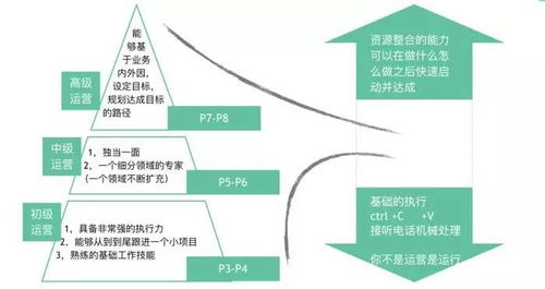 现场直播,实时互动新体验-技术优势与运营策略解析-第4张图片-佛山资讯网 现场直播,实时互动新体验-技术优势与运营策略解析-第4张图片-佛山资讯网