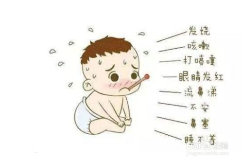 宝宝扇贝现象解析-原因与应对策略-第3张图片-佛山资讯网