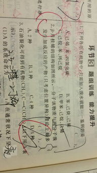 打造专属贪欢时刻，享受生活小确幸-贪欢记解析-第2张图片-佛山资讯网