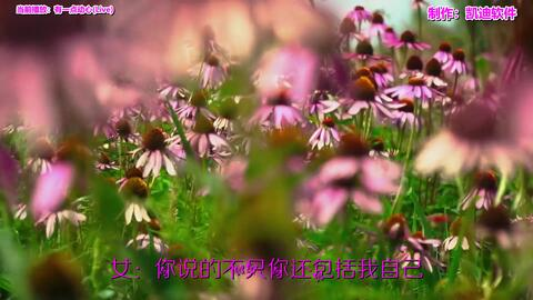 国产、欧洲韩国野花视频资源-自然之美一手掌握-第3张图片-佛山资讯网 国产、欧洲韩国野花视频资源-自然之美一手掌握-第3张图片-佛山资讯网