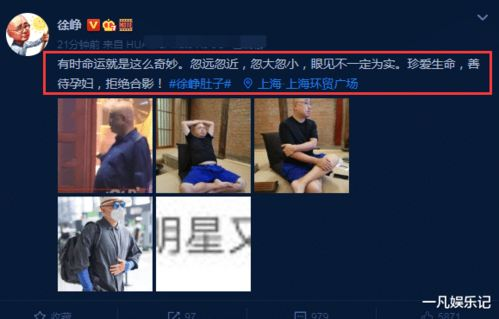 免费观看电视剧完整版的方法与技巧解析-第3张图片-佛山资讯网 免费观看电视剧完整版的方法与技巧解析-第3张图片-佛山资讯网