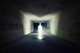 道诡异仙：揭秘仙侠世界的奇幻奥秘-第3张图片-佛山资讯网