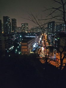 探索狂野的夜-揭秘其魅力与影响-第2张图片-佛山资讯网 探索狂野的夜-揭秘其魅力与影响-第2张图片-佛山资讯网