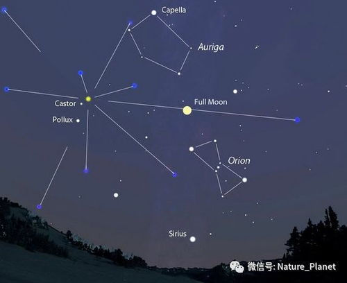 一起又看流星雨,探索天文奇观的秘密-观测与拍摄指南-第4张图片-佛山资讯网