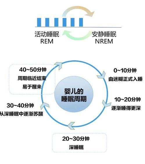 提升体力，享受活力生活-全面策略解析-第4张图片-佛山资讯网