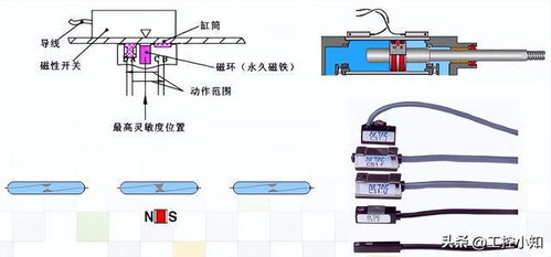 bt磁力猪:高效下载与资源分享的解决方案解析-第1张图片-佛山资讯网 bt磁力猪:高效下载与资源分享的解决方案解析-第1张图片-佛山资讯网