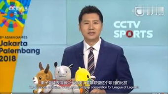 CCTV5体育频道,专业体育赛事直播与报道-体育迷的首选-第2张图片-佛山资讯网 CCTV5体育频道,专业体育赛事直播与报道-体育迷的首选-第2张图片-佛山资讯网