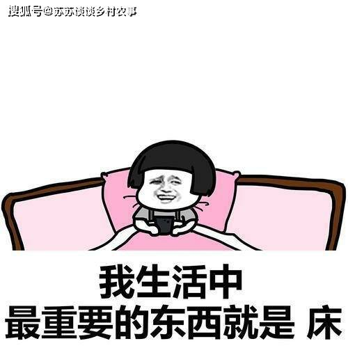 笑话大全，爆笑简短精选-轻松调节心情的妙方-第1张图片-佛山资讯网