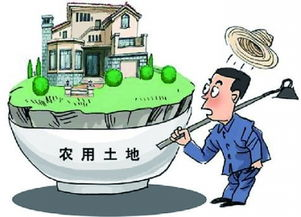 柴火垛里的疯狂55集:乡村生活的真实写照-剧情解析与角色分析-第4张图片-佛山资讯网 柴火垛里的疯狂55集:乡村生活的真实写照-剧情解析与角色分析-第4张图片-佛山资讯网
