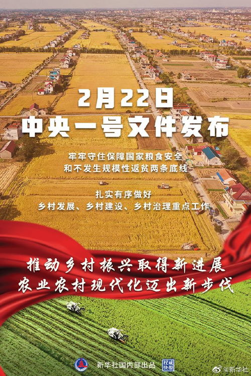 合法在线观看影视作品，享受高品质乡村版内容-免费平台的优劣势解析-第2张图片-佛山资讯网