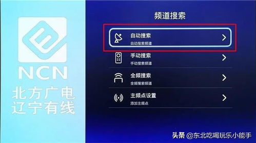 免费高清视频资源，好男人必看内容精选-在线观看指南-第2张图片-佛山资讯网