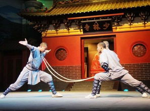 少林寺电影,中华武术文化的传承与创新-经典作品解析-第3张图片-佛山资讯网 少林寺电影,中华武术文化的传承与创新-经典作品解析-第3张图片-佛山资讯网