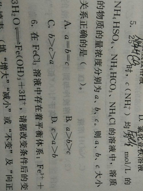 因为爱情有奇迹-情感的力量与美好见证-第2张图片-佛山资讯网