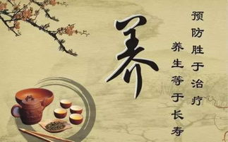 玉房秘笈,古法养生-揭秘千年传承的养生智慧-第2张图片-佛山资讯网 玉房秘笈,古法养生-揭秘千年传承的养生智慧-第2张图片-佛山资讯网