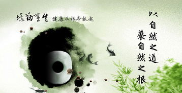 道家养生之道-古老智慧的现代实践-第4张图片-佛山资讯网