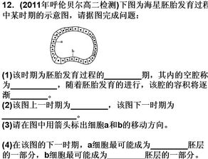 在线观看免费完整版高清韩剧的全方位指南-第2张图片-佛山资讯网