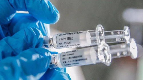 疫苗接种全解析-安全性与副作用应对策略-第2张图片-佛山资讯网