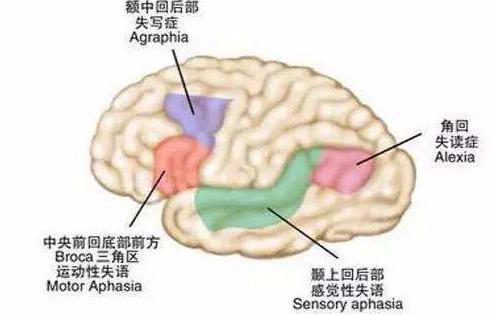 克服恐惧,拥抱生活-“我害怕”情绪解析与应对之道-第2张图片-佛山资讯网 克服恐惧,拥抱生活-“我害怕”情绪解析与应对之道-第2张图片-佛山资讯网