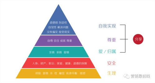 极致偏爱1vs2现象解析-个性化消费趋势洞察-第2张图片-佛山资讯网