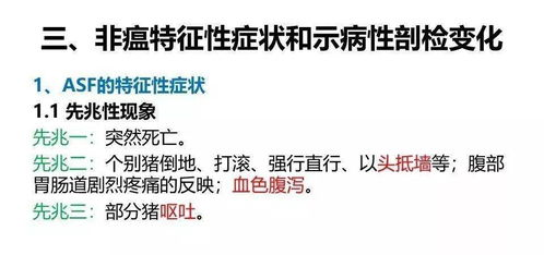 极致偏爱1vs2现象解析-个性化消费趋势洞察-第3张图片-佛山资讯网