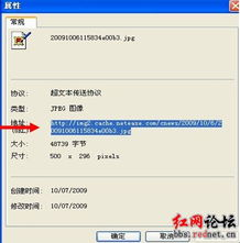火影忍者免费观看720集完整版-高清视频解析-第4张图片-佛山资讯网