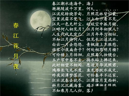 迷失春绮搭配指南-时尚潮流解析-第1张图片-佛山资讯网 迷失春绮搭配指南-时尚潮流解析-第1张图片-佛山资讯网