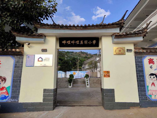 哔哩哔哩(B站)详解-中国年轻人的文化聚集地-第4张图片-佛山资讯网 哔哩哔哩(B站)详解-中国年轻人的文化聚集地-第4张图片-佛山资讯网