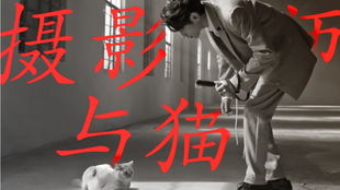香港经典电视剧,三部推荐-重温TVB黄金时代-第3张图片-佛山资讯网