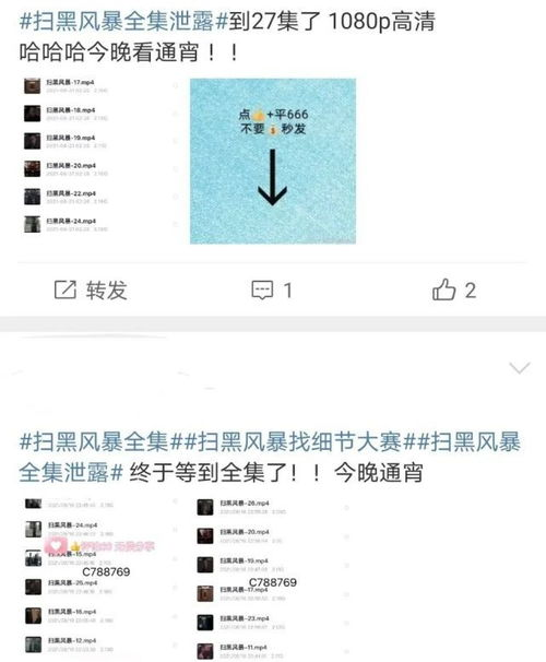 扫黑风暴全集免费观看方法与合法性分析-第1张图片-佛山资讯网 扫黑风暴全集免费观看方法与合法性分析-第1张图片-佛山资讯网