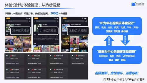 麻花影院，高清观影新选择-探索线上观影新体验-第4张图片-佛山资讯网