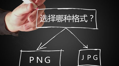 挑选高质量图片,提升网站美观度-图片SEO优化策略-第1张图片-佛山资讯网 挑选高质量图片,提升网站美观度-图片SEO优化策略-第1张图片-佛山资讯网