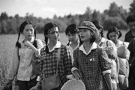 50部知青电视剧大全，重温历史记忆-经典作品一网打尽-第1张图片-佛山资讯网