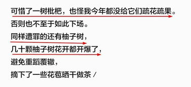 重生落魄农村媳,体验农村生活的苦与乐-生活实况解析-第2张图片-佛山资讯网 重生落魄农村媳,体验农村生活的苦与乐-生活实况解析-第2张图片-佛山资讯网
