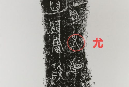 妻子不能说的秘密,婚姻生活中的隐秘真相-免费阅读指南-第2张图片-佛山资讯网 妻子不能说的秘密,婚姻生活中的隐秘真相-免费阅读指南-第2张图片-佛山资讯网