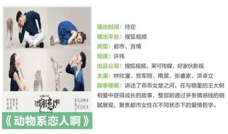 片多多免费看电视剧全攻略-畅享海量剧集无广告干扰-第3张图片-佛山资讯网