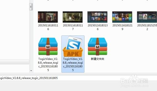 《春花焰》电视剧免费观看全攻略-第2张图片-佛山资讯网