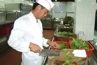 《下厨房》肉车功能解析-提升家庭烹饪品质的利器-第4张图片-佛山资讯网 《下厨房》肉车功能解析-提升家庭烹饪品质的利器-第4张图片-佛山资讯网