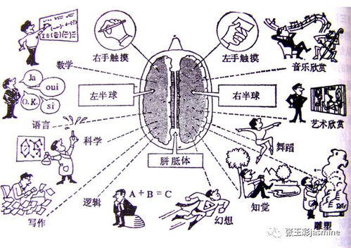 巴啦啦小魔仙之彩虹心石,儿童动画的魔法魅力-角色与情节解析-第2张图片-佛山资讯网 巴啦啦小魔仙之彩虹心石,儿童动画的魔法魅力-角色与情节解析-第2张图片-佛山资讯网