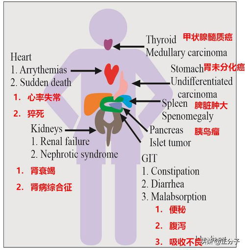 女生流出白白的东西,原因与处理方法-健康知识解析-第2张图片-佛山资讯网 女生流出白白的东西,原因与处理方法-健康知识解析-第2张图片-佛山资讯网