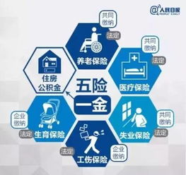 五五影视,高清流畅的在线观看体验-五五影视平台使用指南-第4张图片-佛山资讯网 五五影视,高清流畅的在线观看体验-五五影视平台使用指南-第4张图片-佛山资讯网