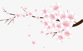 樱花电影免费素材网站精选-观影新体验-第1张图片-佛山资讯网