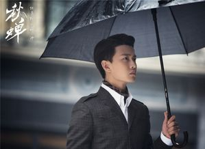 微微一笑很倾城电视剧免费观看全攻略-合法途径解析-第3张图片-佛山资讯网