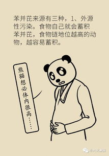以身试爱:如何在爱情中保持理智与成长-第1张图片-佛山资讯网 以身试爱:如何在爱情中保持理智与成长-第1张图片-佛山资讯网