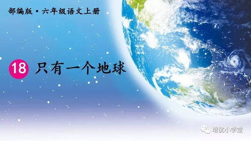 熊出没之过年,欢乐与温馨的春节故事-动画电影深度解析-第1张图片-佛山资讯网 熊出没之过年,欢乐与温馨的春节故事-动画电影深度解析-第1张图片-佛山资讯网